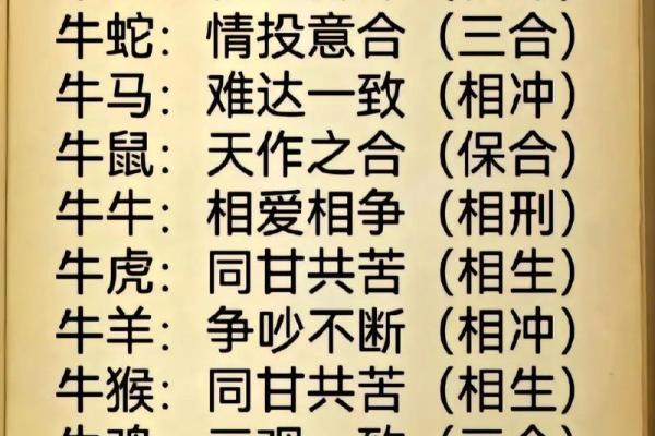 属龙和属牛的八字合吗