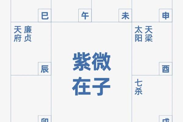 紫薇斗数流年考运