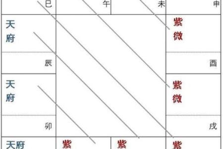紫微斗数之子女宫与诸星，天府星在子女宫是什么意思？