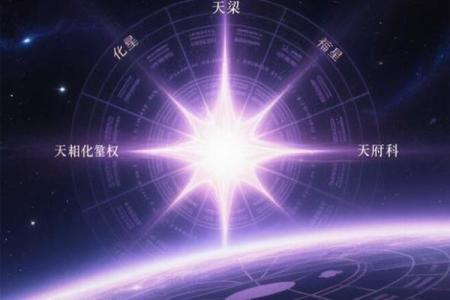 紫薇斗数天府男
