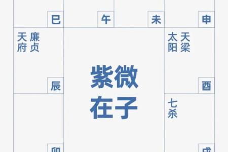紫薇斗数流年考运