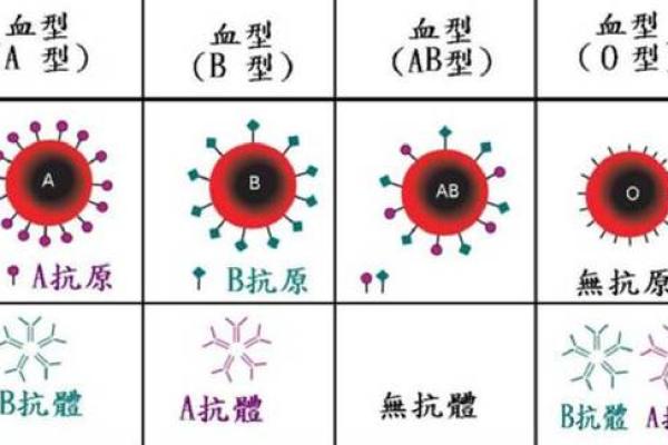 姓名血型星座算命,星座血型测试