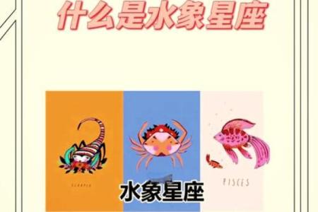 水象星座喜欢风象吗