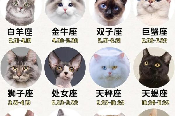 十二星座最适合养什么恐怖动物 十二星座最适合养什么恐怖动物