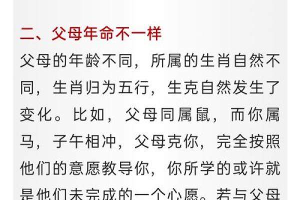 相同八字 相同八字