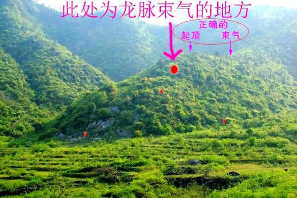 最发人丁的坟地风水 最发人丁的坟地风水