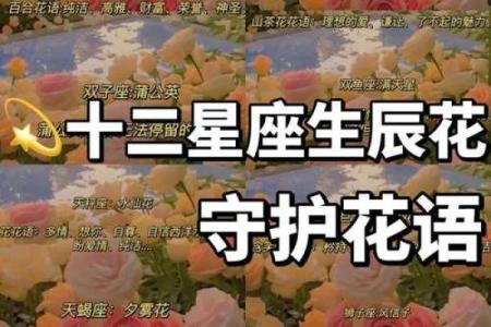 告别hello星座：有效消除星座迷信，拥有幸福人生