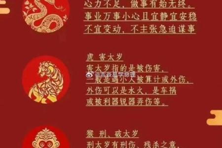 八字太岁