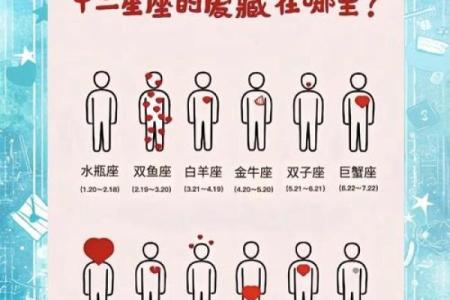 哪个星座最美丽?星座大揭秘!