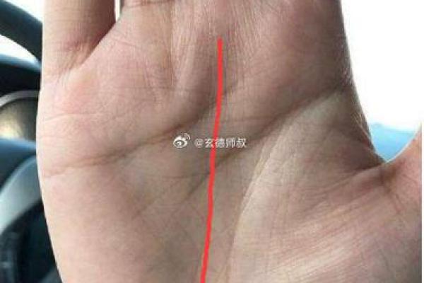 女人的事业线止于感情线命运如何风水 女人的事业线止于感情线命运如何风水