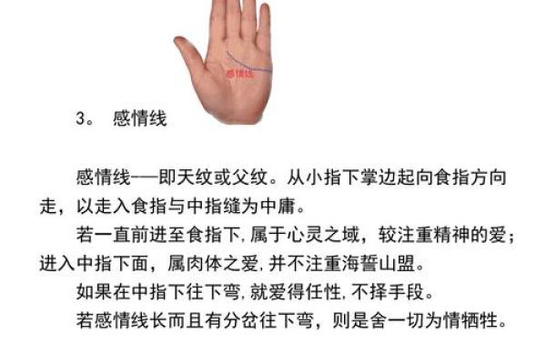 女人的事业线止于感情线命运如何风水 女人的事业线止于感情线命运如何风水