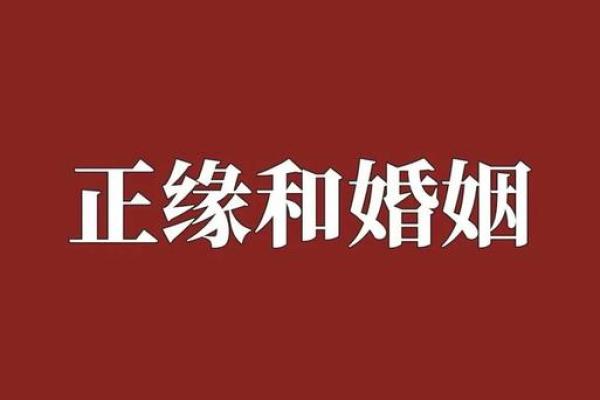 怎么看两人八字合不合适,算命的说很少碰见上等婚姻 怎么看两人八字合不合适,算命的说很少碰见上等婚姻