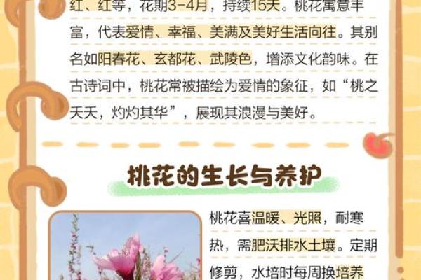八字带桃花的特点有哪些方面呢 八字带桃花的特点有哪些方面呢