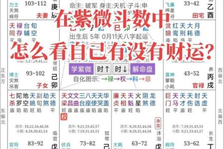 紫薇斗数看财运格局
