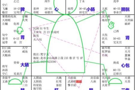 紫微斗数诸星落诸宫之,其它星疾厄宫详解