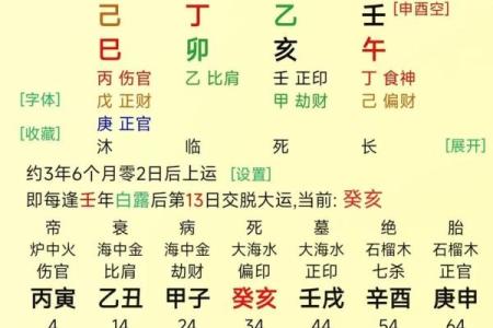 八字身旺表
