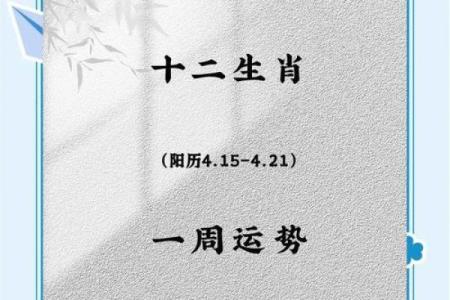 2024年十二星座全年运势如何