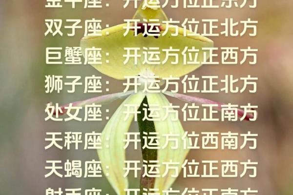 我要听十二星座明日运势 我要听十二星座明日运势
