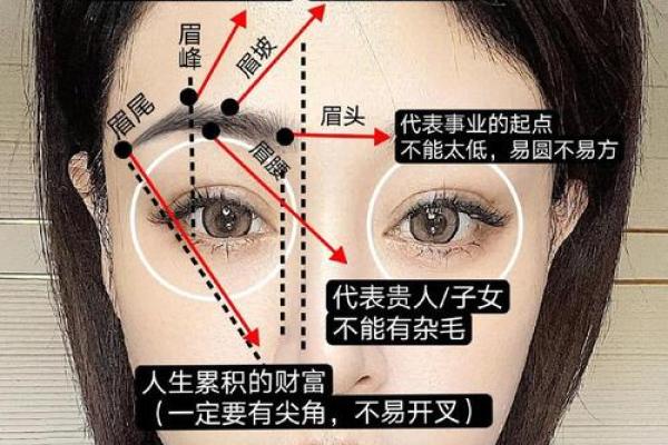 八字眉的女人面相特征是什么样的呢 八字眉的女人面相特征是什么样的呢