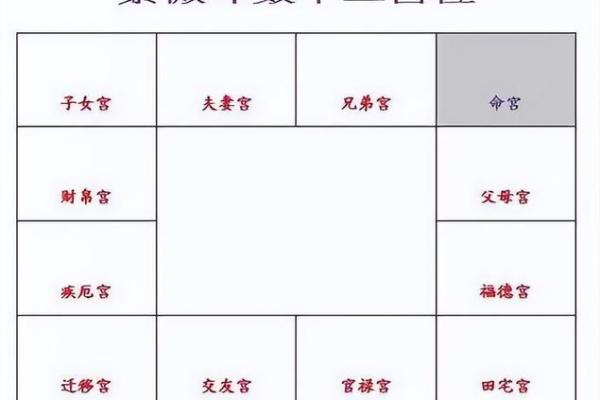 紫薇命盘紫薇斗数 紫薇命盘紫薇斗数