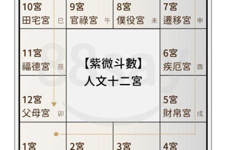 紫薇斗数哪些格局厉害