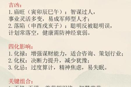 紫薇斗数中天机星化禄，在命格中的造化如何？天机星四化力量