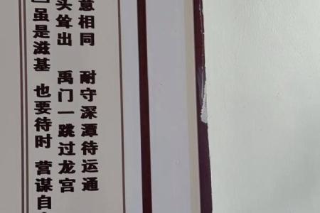 观音灵签求姻缘鱼龙混杂意相同 鱼龙混杂意和同第76签求财?