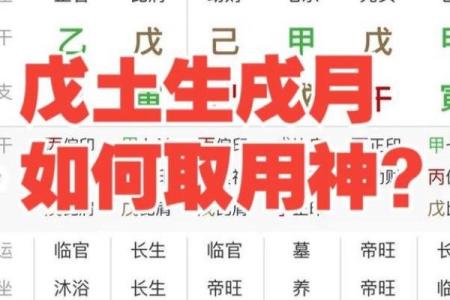 八字戊多