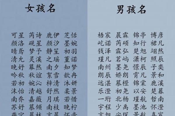 网络公司名字大全-名字大全姓名 网络公司名字大全-名字大全姓名