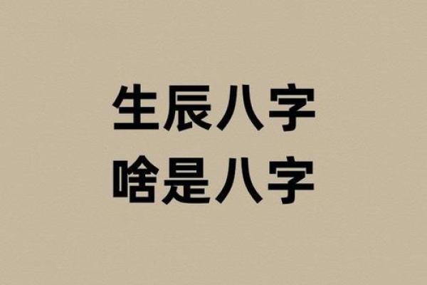 八字设计 八字设计
