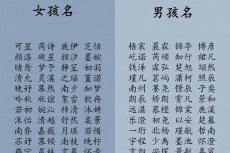 网络公司名字大全-名字大全姓名