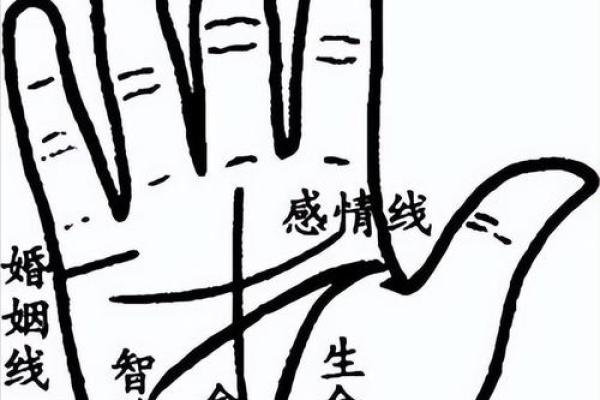 【手型算命】最基本的手型之哲学手 【手型算命】最基本的手型之哲学手