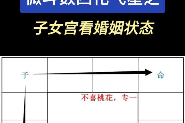 紫微斗数龙池子女宫 龙池在子女宫有什么特点? 紫微斗数龙池子女宫 龙池在子女宫有什么特点?