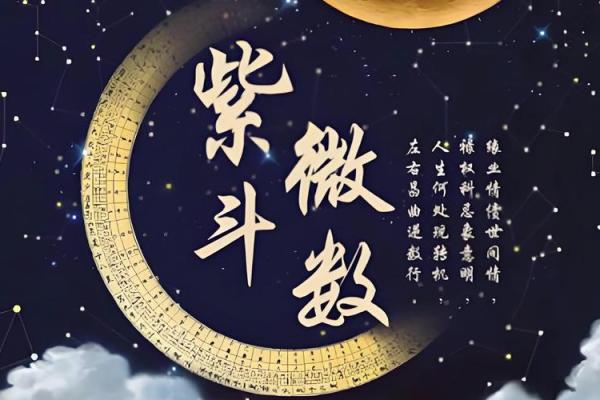 紫薇斗数无煞 紫薇斗数无煞