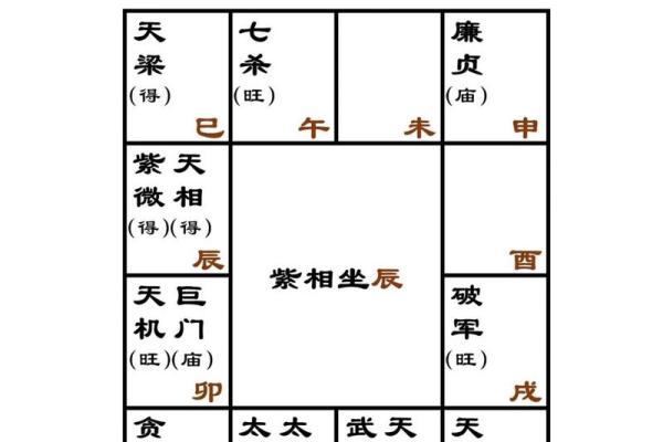 紫薇斗数的庙旺不利 紫薇斗数的庙旺不利