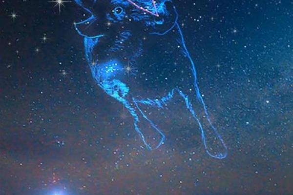 金牛座星座下月运势 金牛座星座下月运势