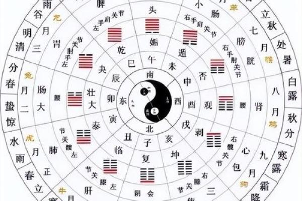 周文王神卦:探索文王占卜算命的奥秘 周文王神卦:探索文王占卜算命的奥秘