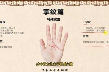 【手型算命】最基本的手型之哲学手