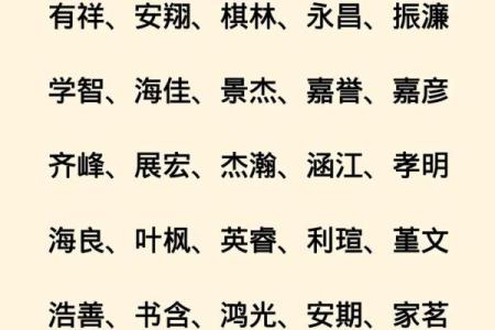 2019年6月28号子时出生的男孩如何起名姓名