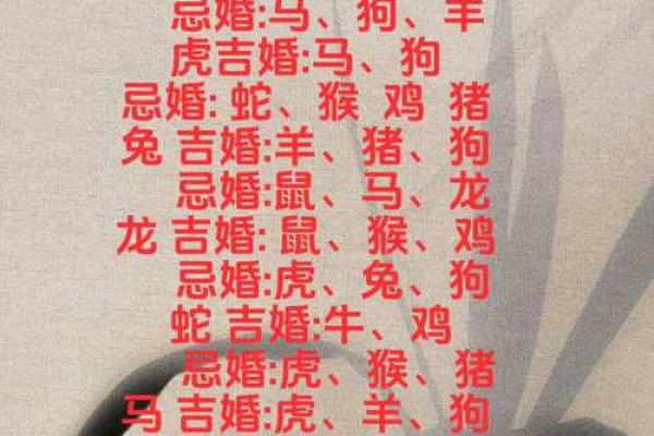 合八字算婚姻 属猪男和兔女适合做夫妻吗