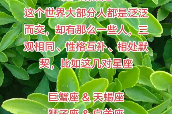 爱得坦坦荡荡 没有秘密的星座情侣