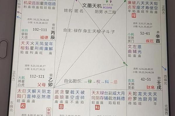 紫薇斗数看命运 紫薇斗数看命运