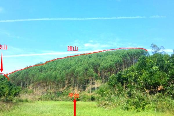 坟墓风水正前方不可以有什么? 坟墓风水正前方不可以有什么?