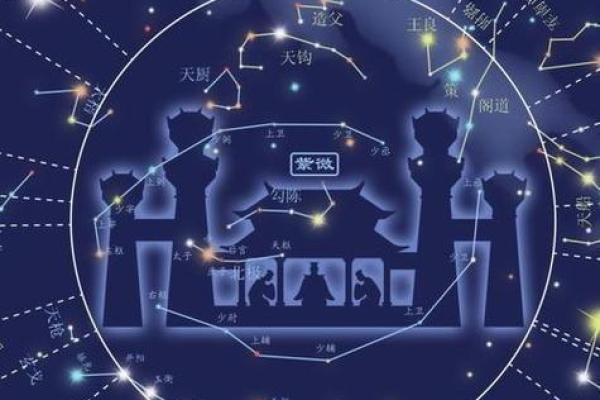 紫薇星君转世动画 紫薇星君转世动画