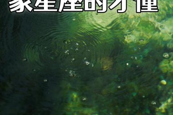 水象星座和水象星座能在一起吗 水象星座和水象星座能在一起吗