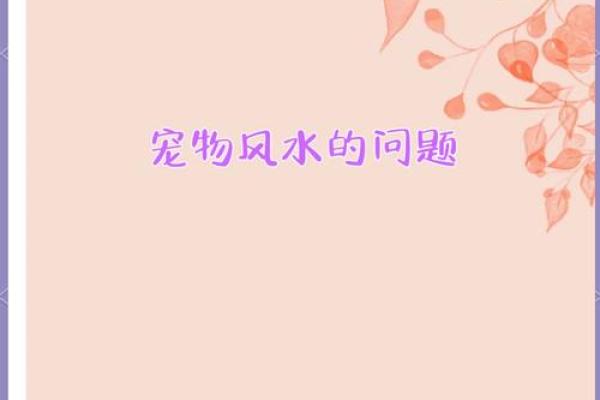 养宠物也是要讲究风水的 养宠物也是要讲究风水的