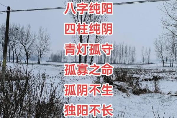 八字纯阳男 八字纯阳男