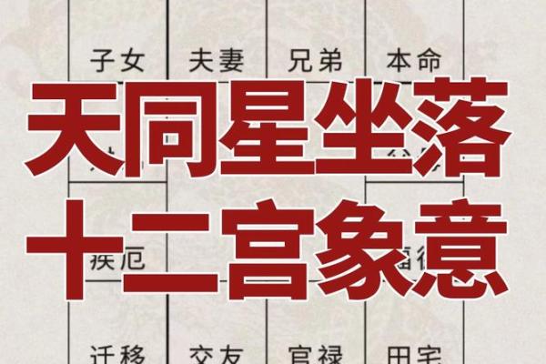 法象紫微斗数 紫微面相学法云居士? 法象紫微斗数 紫微面相学法云居士?