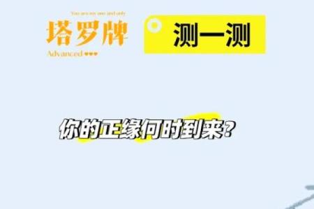 塔罗牌免费测试正缘,塔罗牌免费测试占卜正缘?