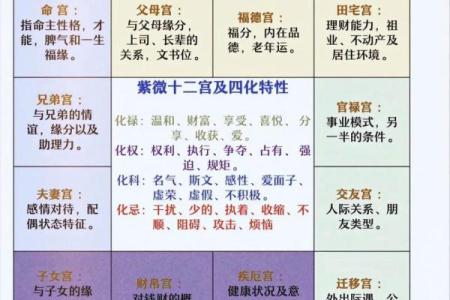 紫薇斗数看婚姻远近
